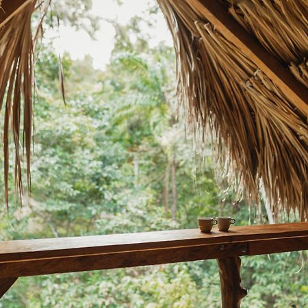 La Ponderosa Reserve Buritaca Ngoại thất bức ảnh