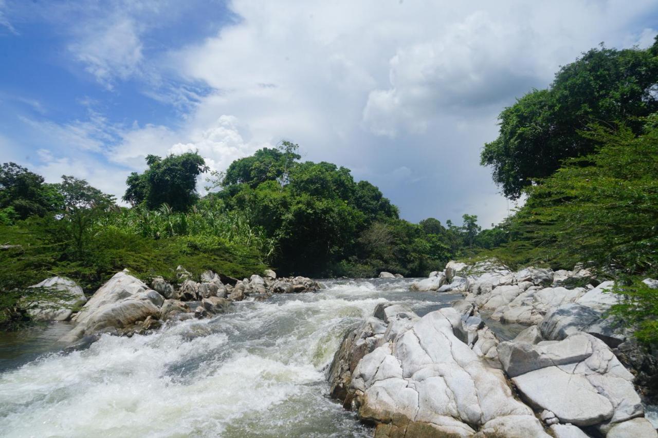 La Ponderosa Reserve Buritaca Ngoại thất bức ảnh