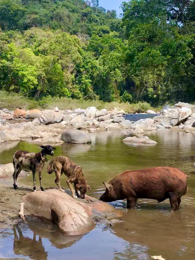 La Ponderosa Reserve Buritaca Ngoại thất bức ảnh