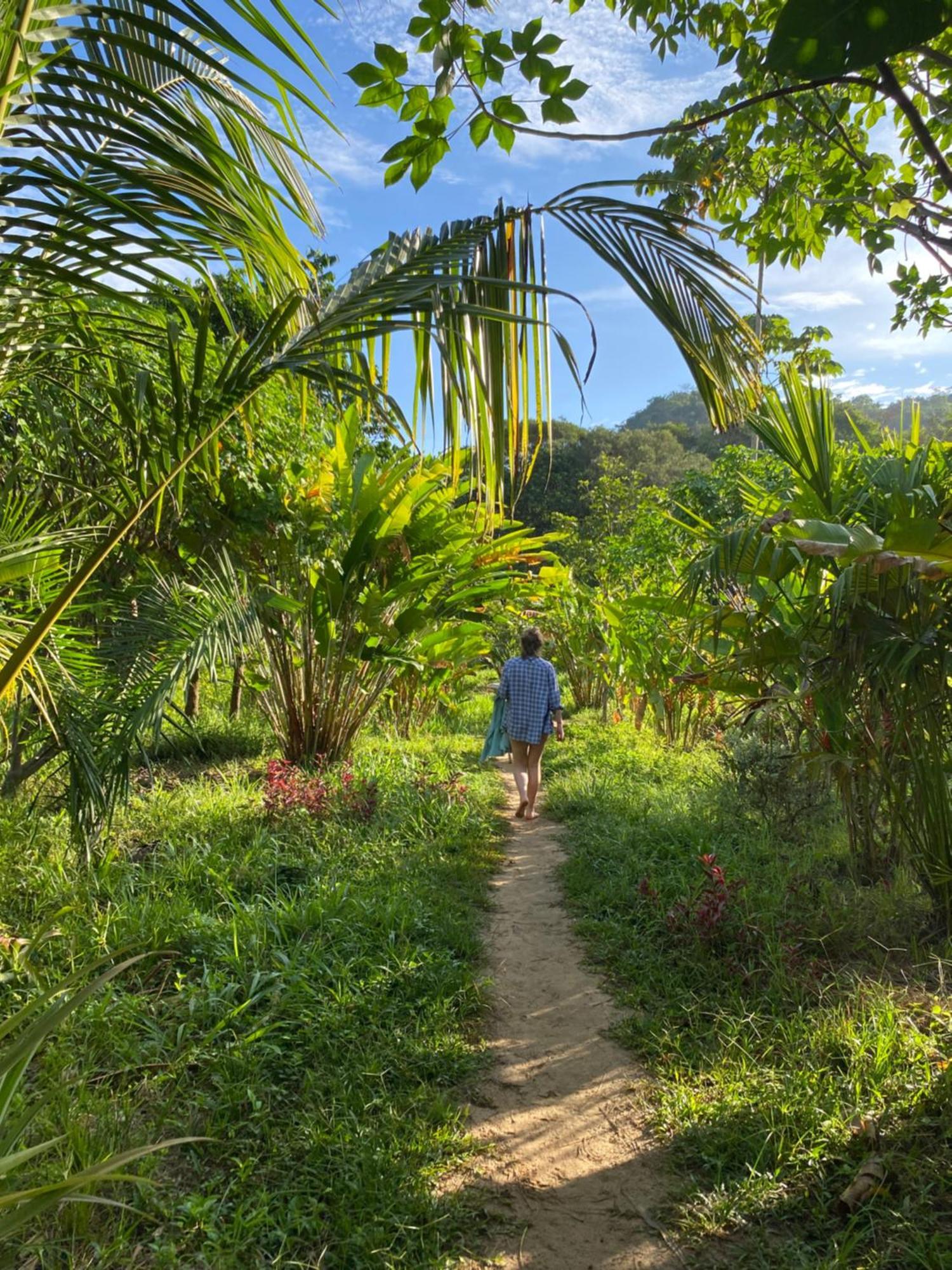 La Ponderosa Reserve Buritaca Ngoại thất bức ảnh