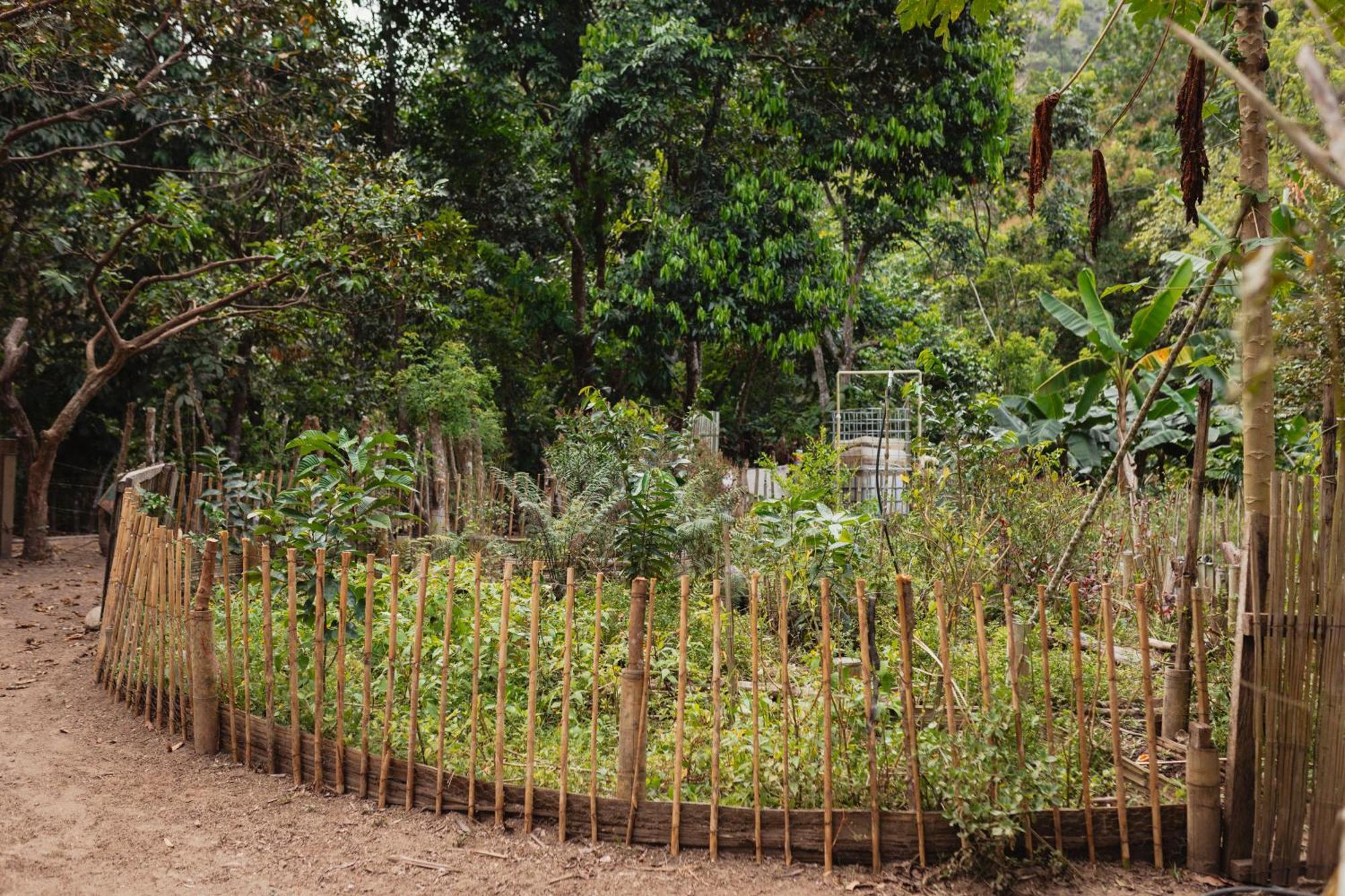 La Ponderosa Reserve Buritaca Ngoại thất bức ảnh
