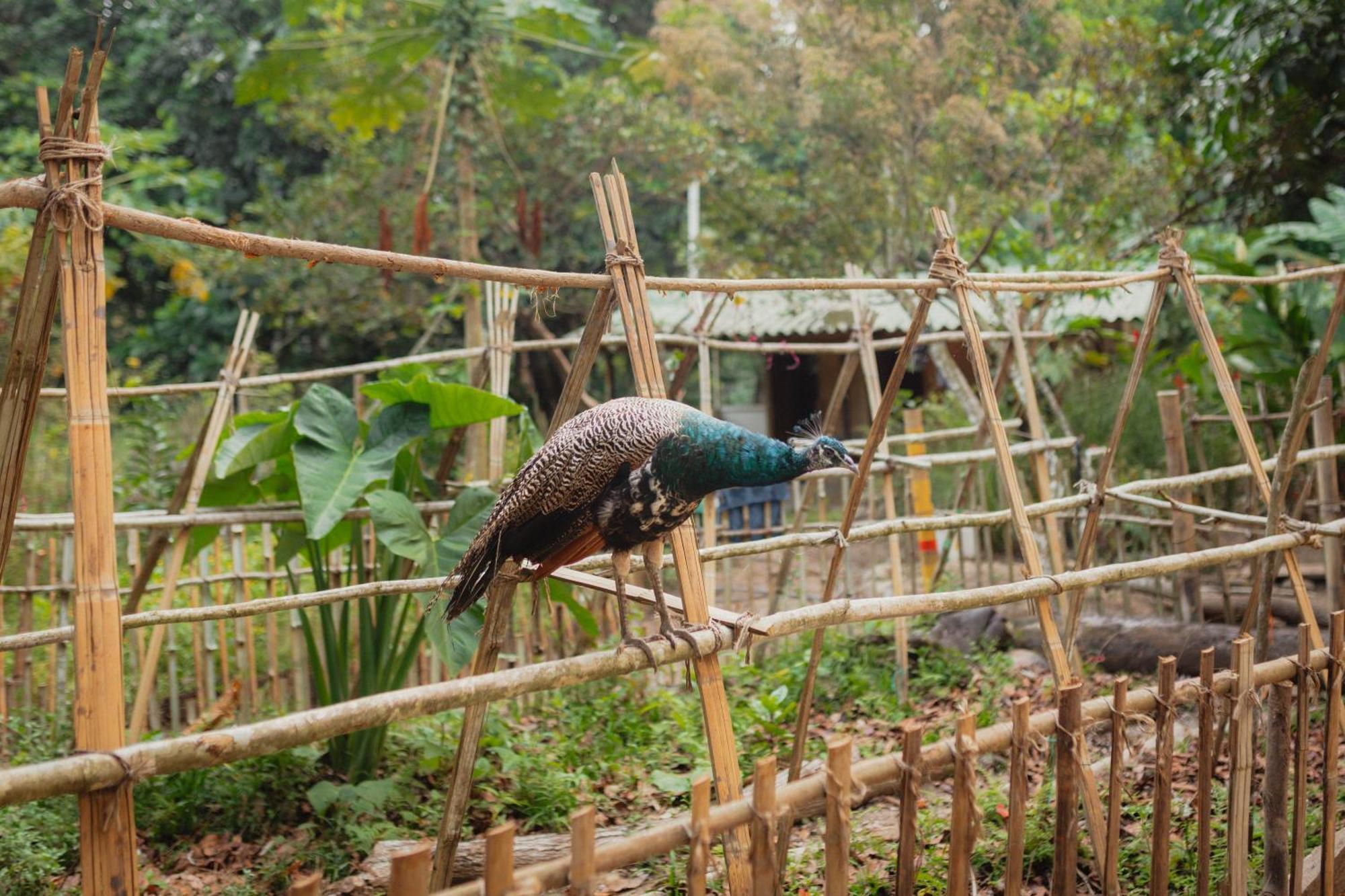 La Ponderosa Reserve Buritaca Ngoại thất bức ảnh