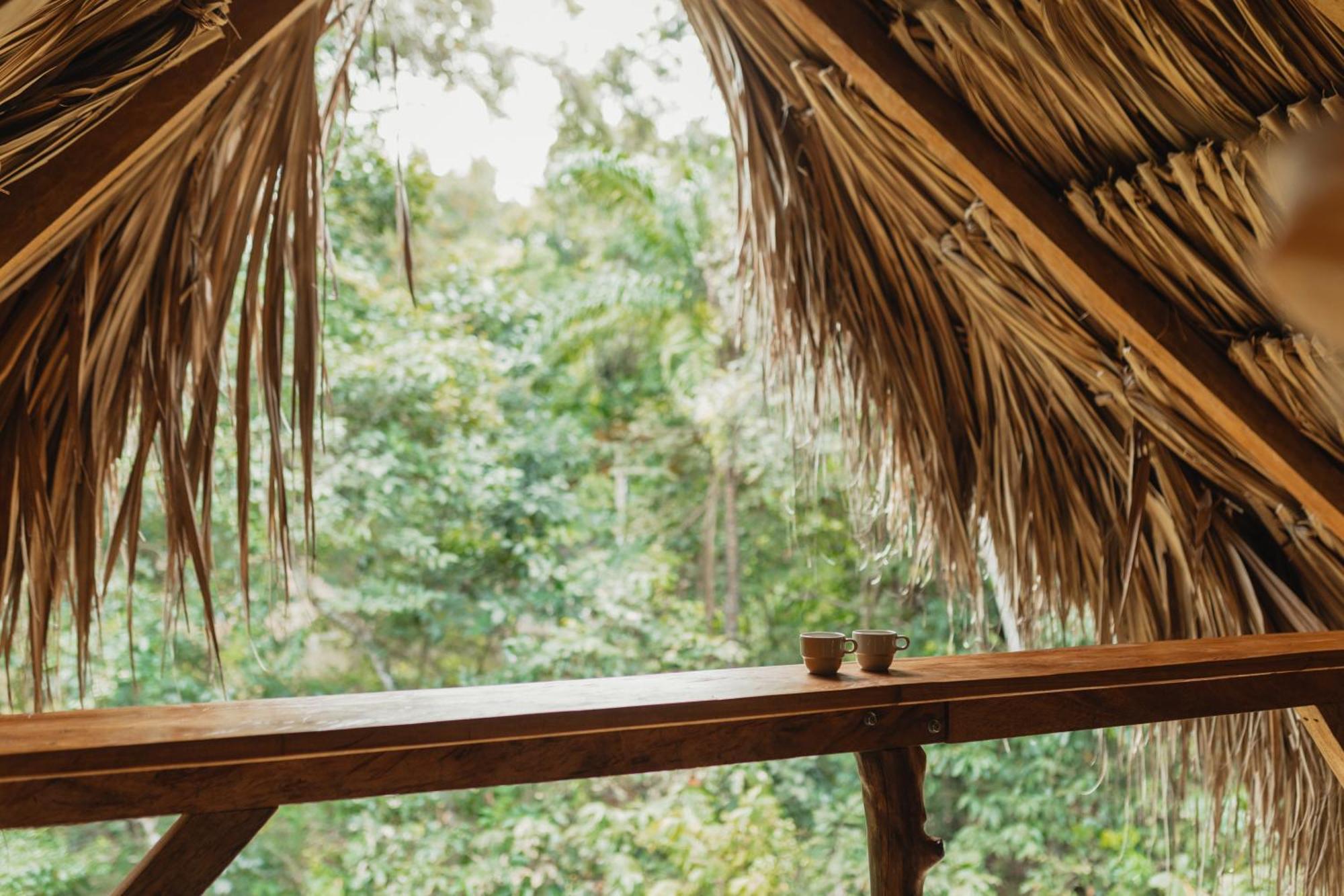 La Ponderosa Reserve Buritaca Ngoại thất bức ảnh